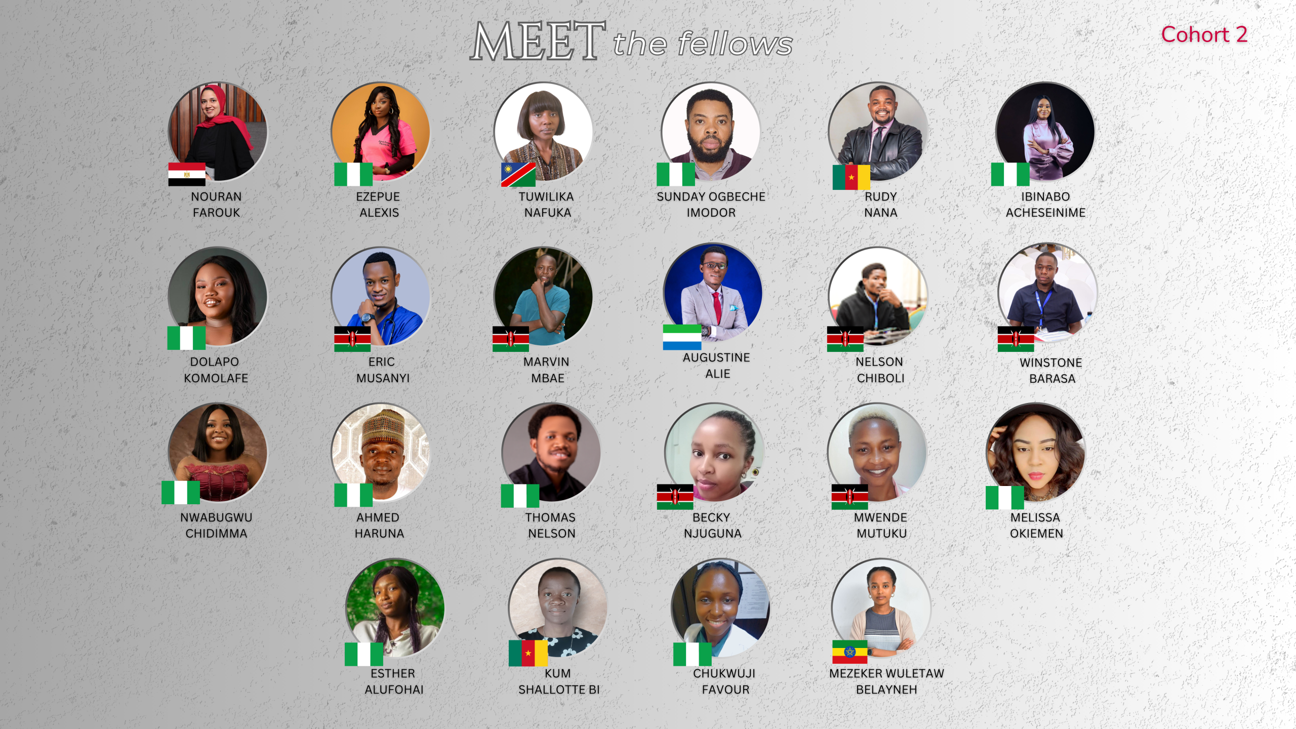 Digital Health Training-Cohort 2 fellows